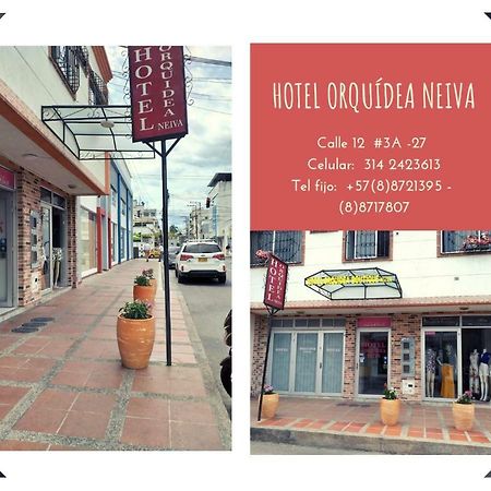 Hotel Orquidea Neiva Neiva  Exterior foto